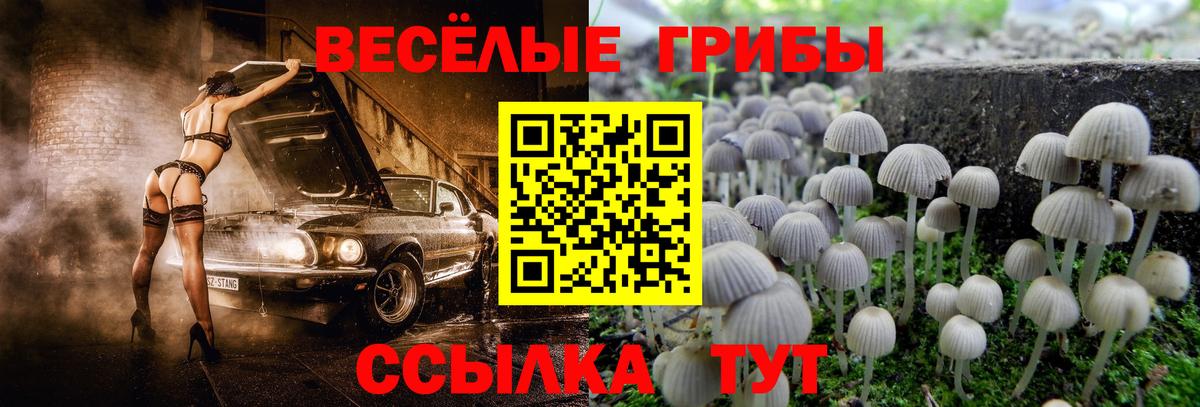 Галлюциногенные грибы GOLDEN TEACHER  Вход с VPN  как найти   Муравленко  Галлюциногенные грибы Cubensis 